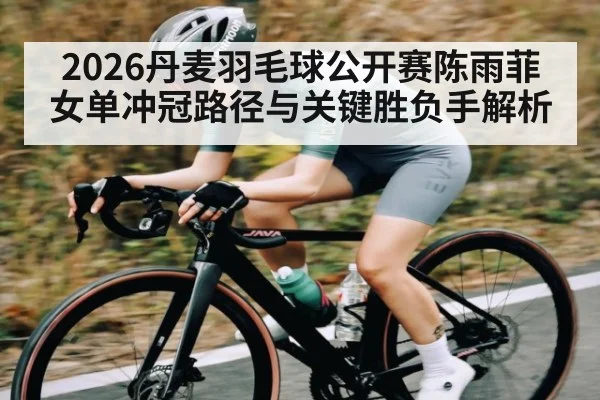 2026丹麦羽毛球公开赛陈雨菲女单冲冠路径与关键胜负手解析